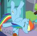 dashie perished