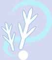 Winter Wonder