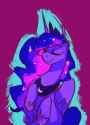 DreamHorse