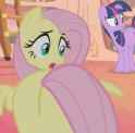 Fluttershy