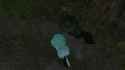 snapshot_176