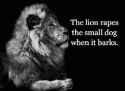 the lion