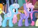 linkyshine