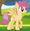 orangeswirl
