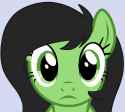 filly frown