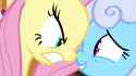 flutterlinky2