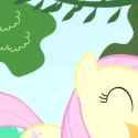 SNIFF 3