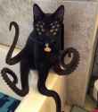 Cathulu
