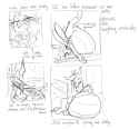 Kassaz_sketches