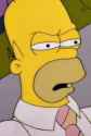 Homer Disgust