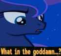 luna what in the goddamn
