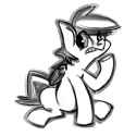 rainbow dash