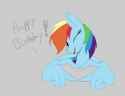 Dashie 