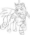 image_2025-06-14_002209068
