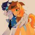 1750021113.cesi100_soarin_and_braeburn_01