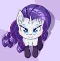 Cat Rarity