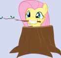 fluttershy_treestump
