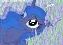 1442436__safe_artist-colon-darkest-dash-lunar-dash-flower_princess+luna_absurd+res_alicorn_anime+style_chest+fluff_cute_flower_grass_lavender_lunabetes