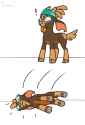 Fainting goat