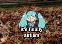 autism