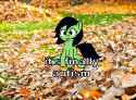anonleaves