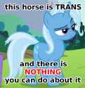 1735632230816544