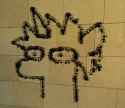 numbullet
