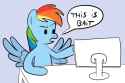 Dash Bait 4