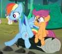 dashie and scoots