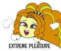 pleasure