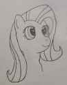 Fluttershy 3