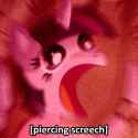 Screech