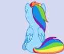 dashie_wut_v2