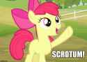 applebloom scrotum