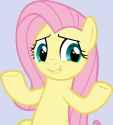 fluttershrug