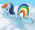 dashie cloud hindquarters