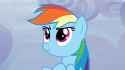 dashie confident cloud