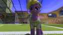 Snapshot_099