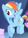 super happy Dash