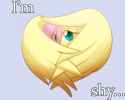 shy