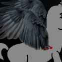 anim17