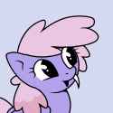rainbowshine