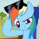 dash headscratch
