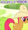 workingpony