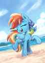 Dash beach