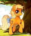 gen1_applejack_by_suikuzu-d5gvudg