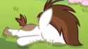 ded pip