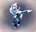 silvery cat