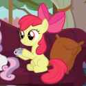filly sip