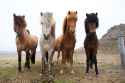 shutterstock_432810223-scaled